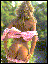 C35.gif (2917 bytes)