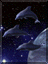 FNDOLPHINS.GIF (3426 bytes)