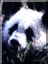 Panda.gif (3664 bytes)