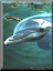 an36.gif (3758 bytes)
