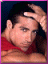 brad.gif (3853 bytes)