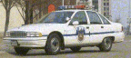 car1.gif (10726 bytes)