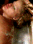 chlpup2b.gif (3625 bytes)