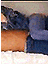 couple2bb.gif (3786 bytes)
