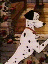dis084.gif (4294 bytes)
