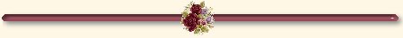 floralset10line.jpg (3377 bytes)