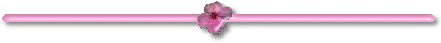 floralset2line.jpg (4032 bytes)