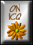 icq1.gif (2866 bytes)