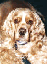 jc1.gif (4150 bytes)