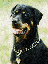 jc2.gif (4150 bytes)