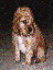 jc3.gif (4150 bytes)