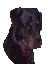 jc4.gif (4150 bytes)