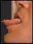 mal020.gif (2264 bytes)