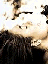p22-a.gif (3477 bytes)
