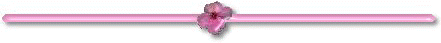 petsli1.gif (4821 bytes)