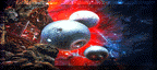 petstour192.gif (8222 bytes)