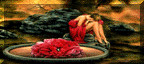 petstour9.gif (8821 bytes)