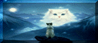 petstour91.gif (7622 bytes)