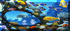 petstour93.gif (10037 bytes)