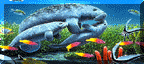 petstour99.gif (8959 bytes)