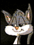 pmis5.GIF (2099 bytes)