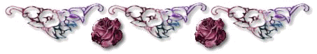 set14fbar2.jpg (10491 bytes)