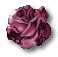 set14fbutt.jpg (1863 bytes)