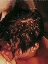 ss17g02a.gif (4362 bytes)