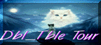 troublestour3.gif (7636 bytes)