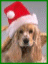 xmaspup.gif (3842 bytes)