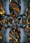 Butterflies - Postcard 2
