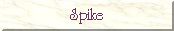 Spike