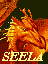 Dragoness Seela