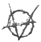 Brujah.gif (5842 bytes)