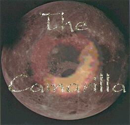 Cam.jpg (37924 bytes)