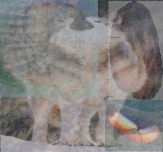 galtop.jpg (13817 bytes)