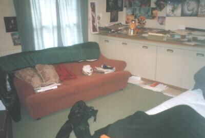 Room.jpg (41120 bytes)