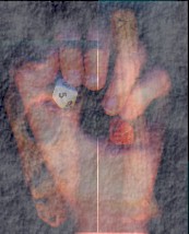 tiptop.jpg (12858 bytes)