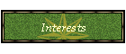 Interests