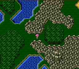 walk11forest.jpg (8475 bytes)