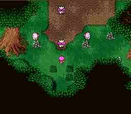 walk11mooglescatter.jpg (5446 bytes)