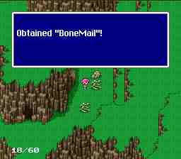 walk12valley2.jpg (5483 bytes)