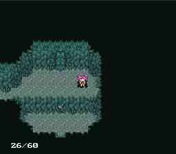 walk12valley4.jpg (3344 bytes)