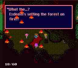 walk14forest3.jpg (5597 bytes)