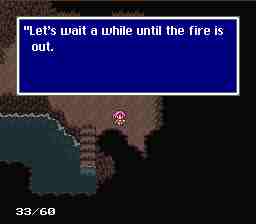 walk14forest4.jpg (4274 bytes)