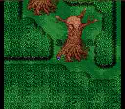 walk20a5.jpg (7676 bytes)