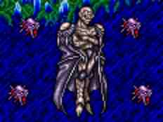 walk20c9.jpg (4163 bytes)