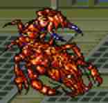 walk3karlabos.jpg (3336 bytes)