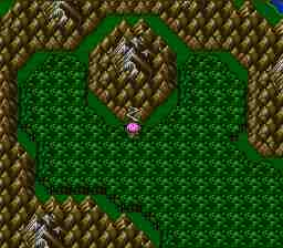 walk4northmt.jpg (8175 bytes)