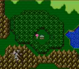 walk6library.jpg (6774 bytes)